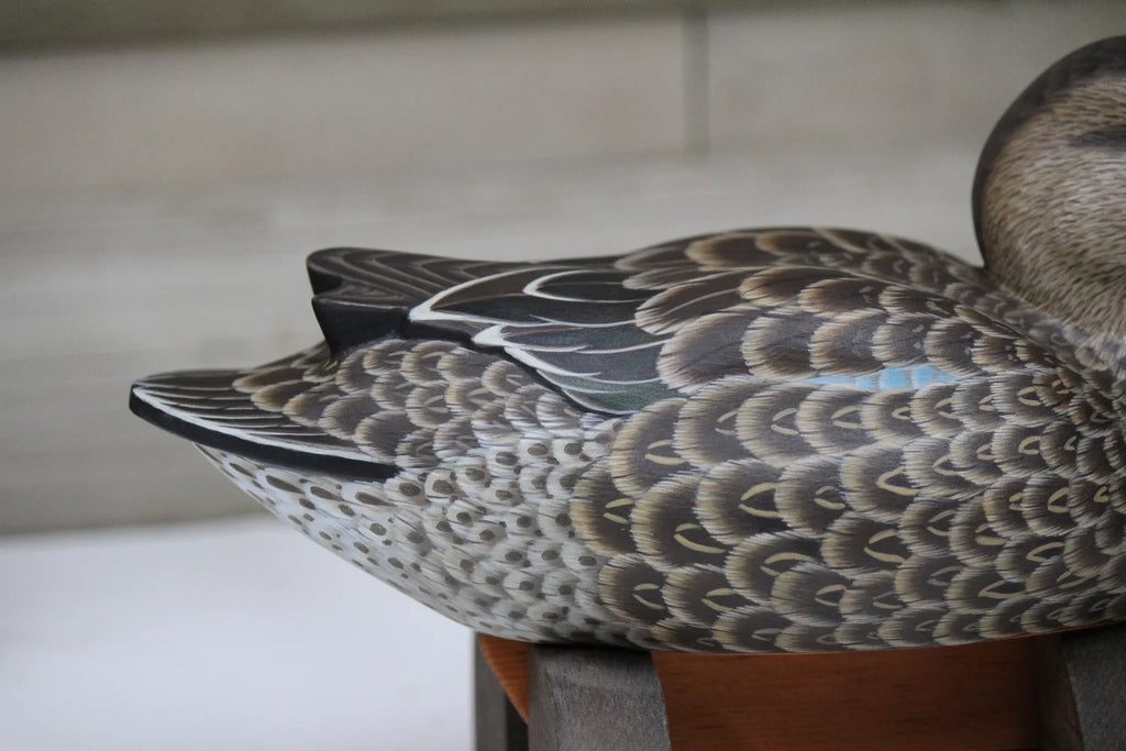 Blue-winged Teals