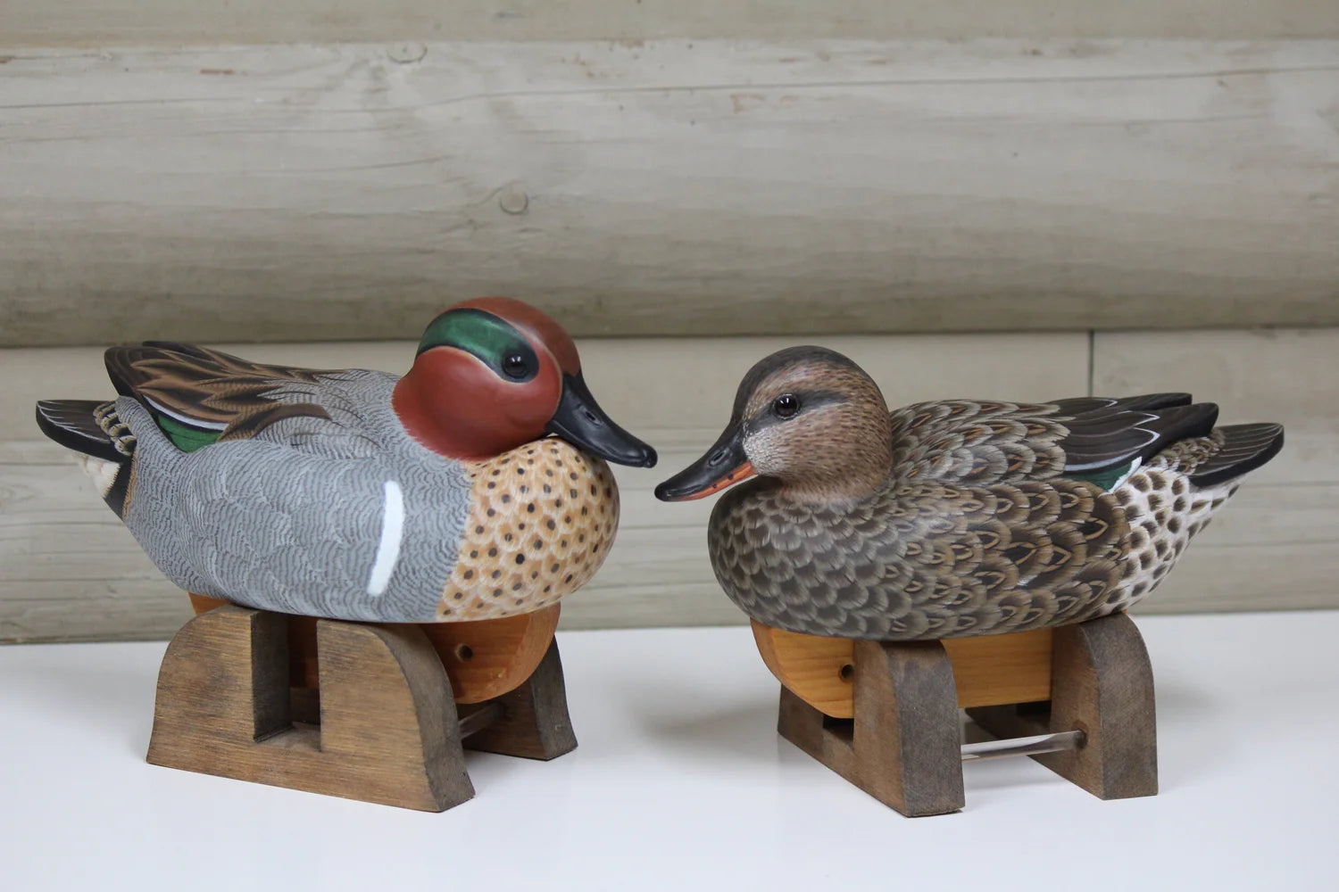 Green-winged Teals