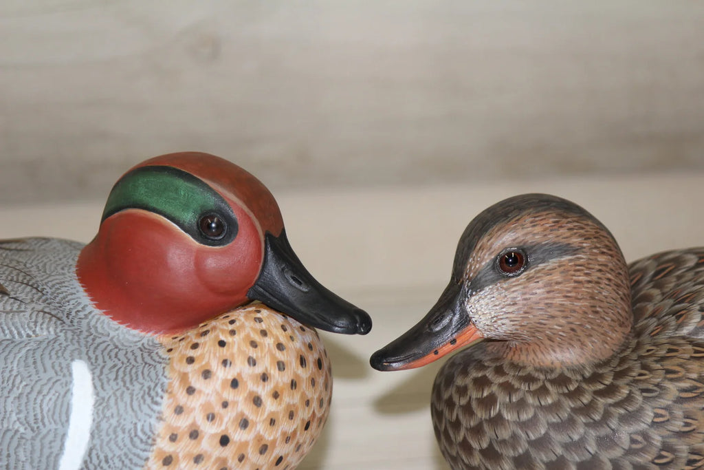 Green-winged Teals