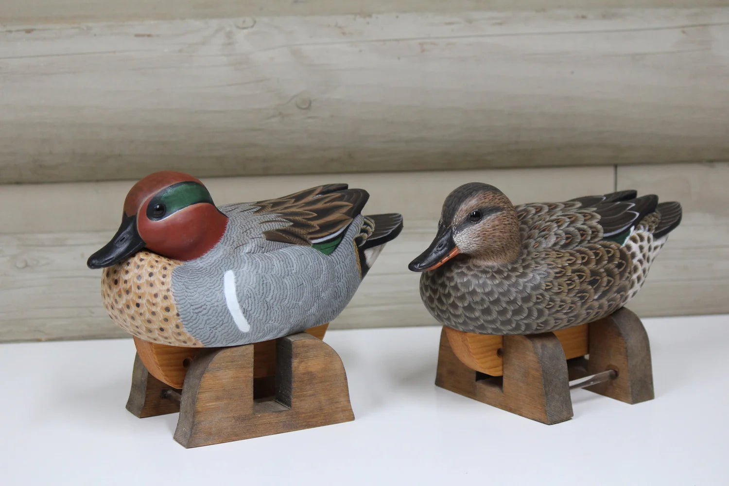 Green-winged Teals