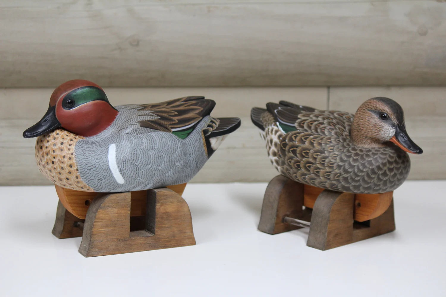 Green-winged Teals