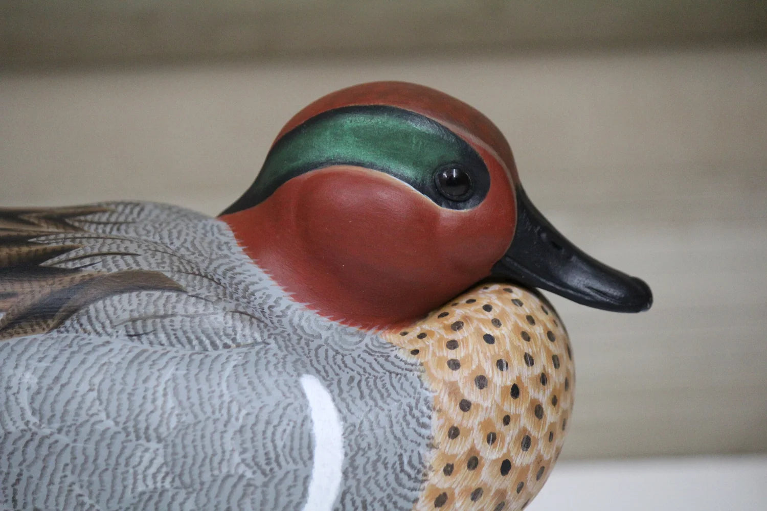 Green-winged Teals