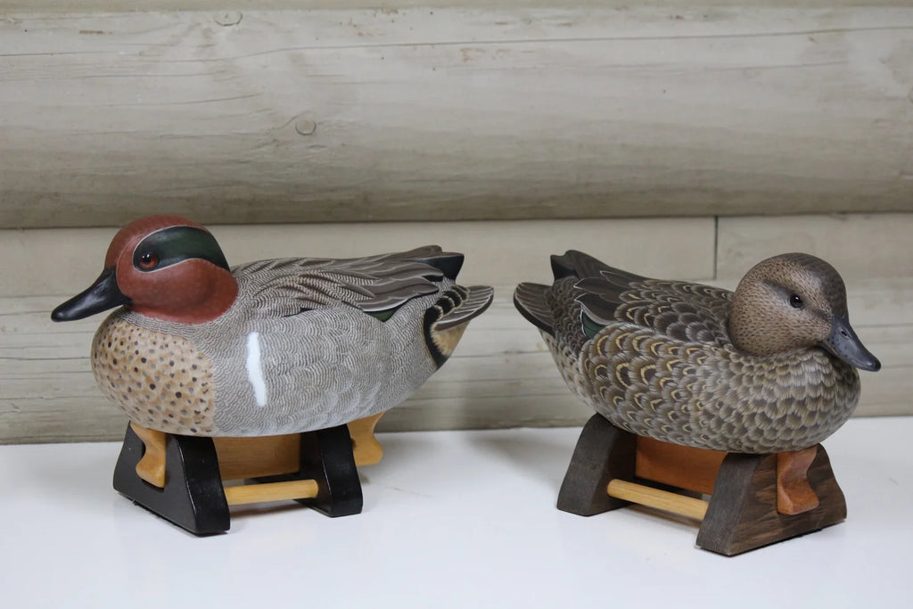 Green-winged Teals