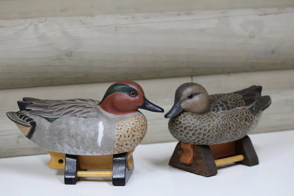 Green-winged Teals