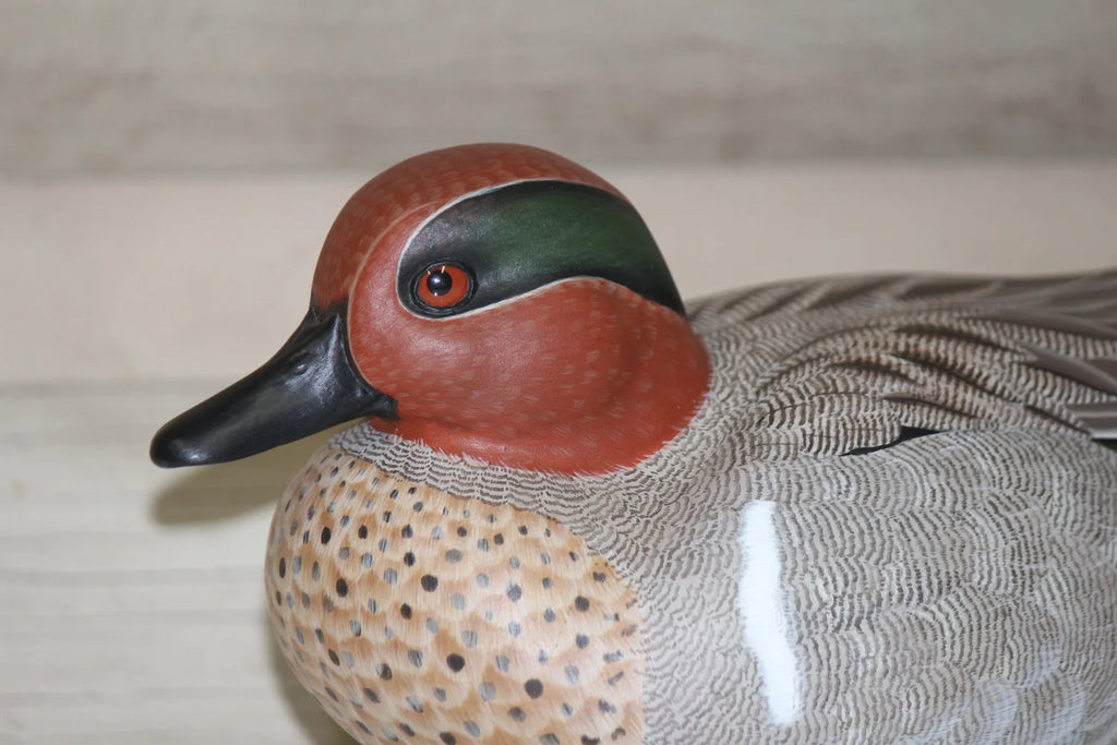 Green-winged Teals