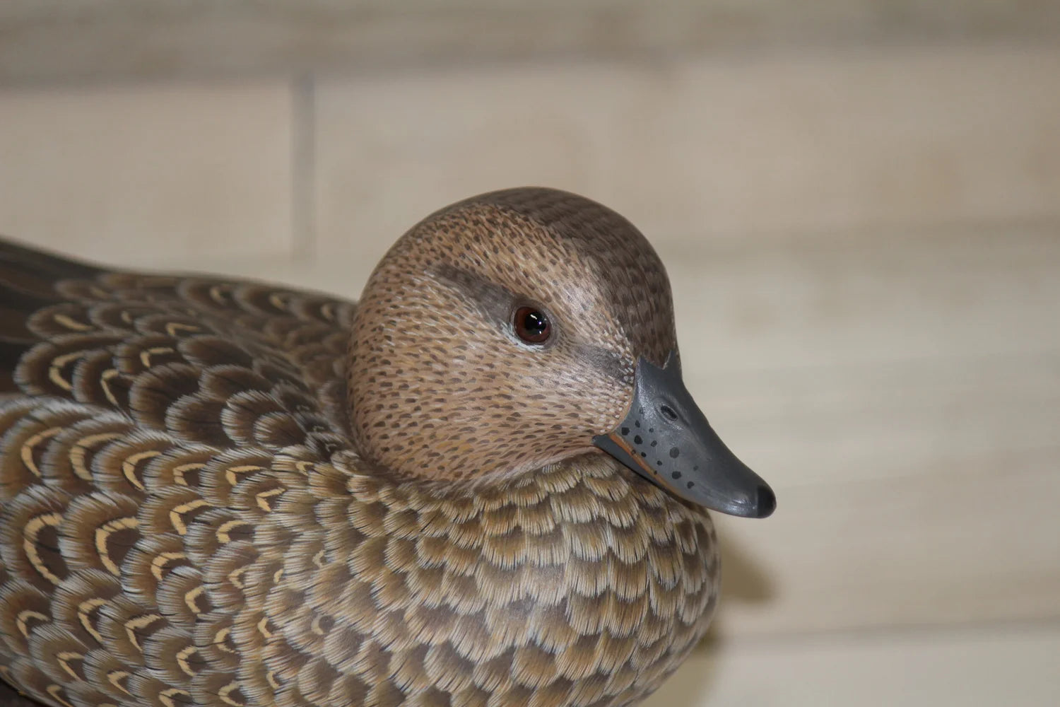 Green-winged Teals