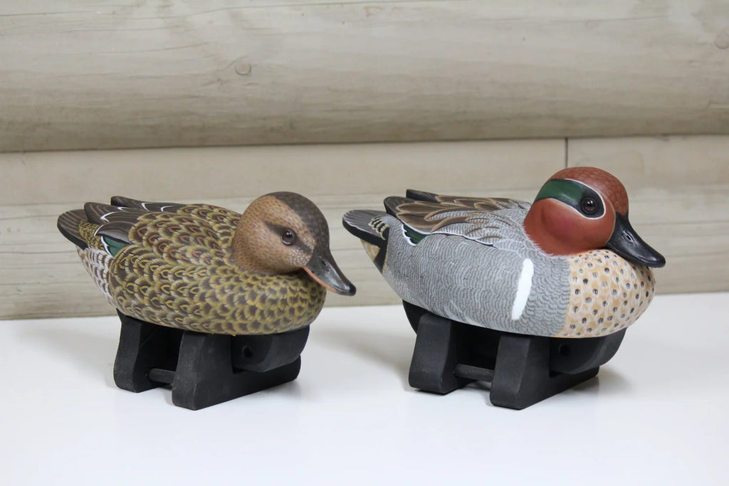 Green-winged Teals