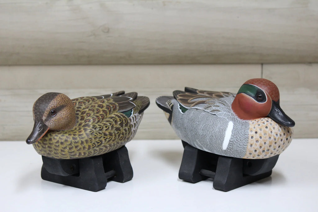 Green-winged Teals