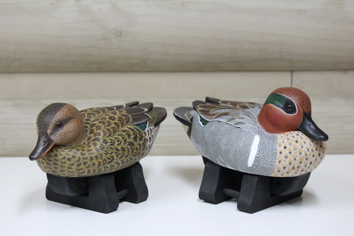 Green-winged Teals