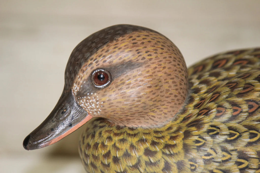 Green-winged Teals
