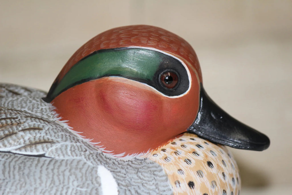 Green-winged Teals