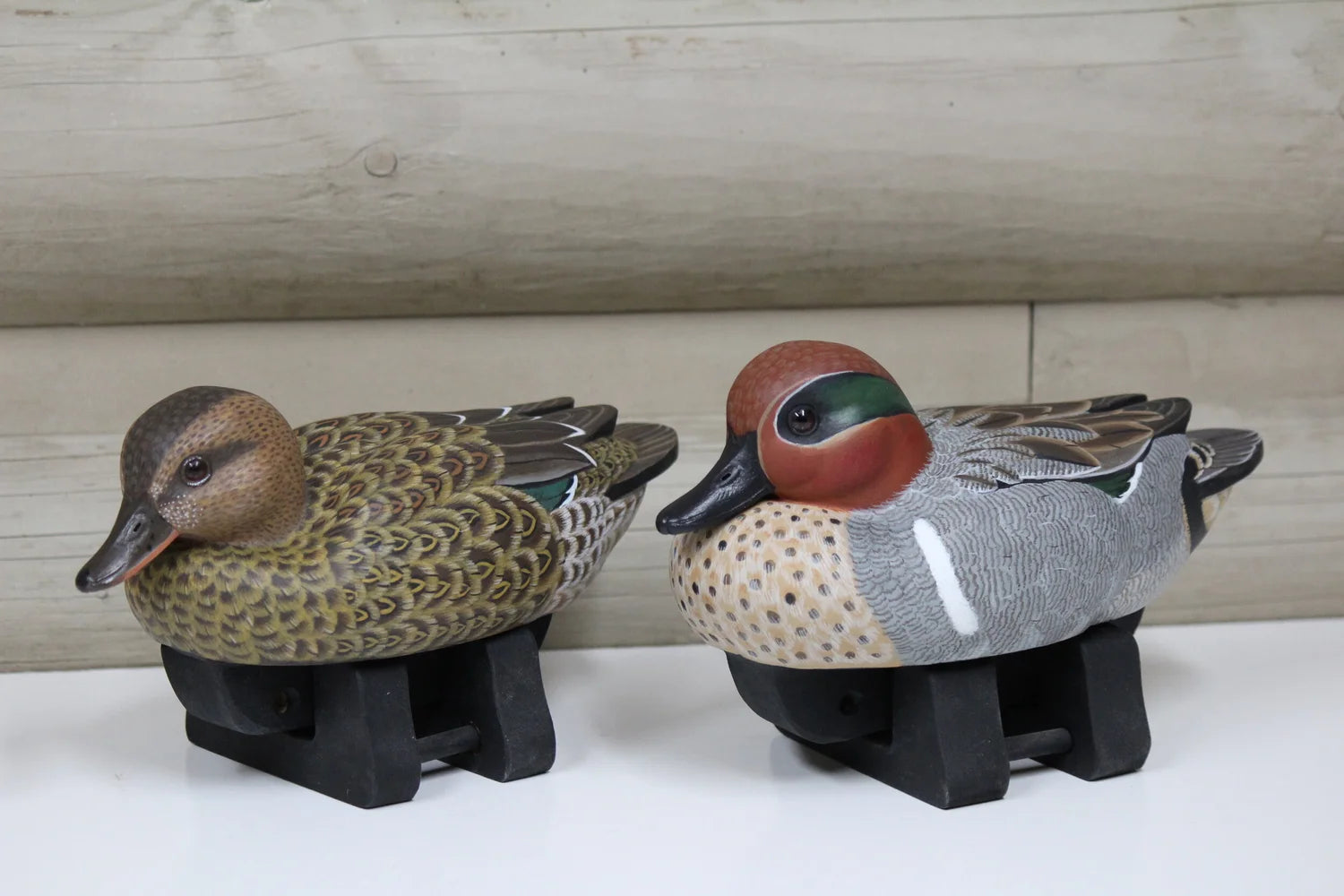 Green-winged Teals