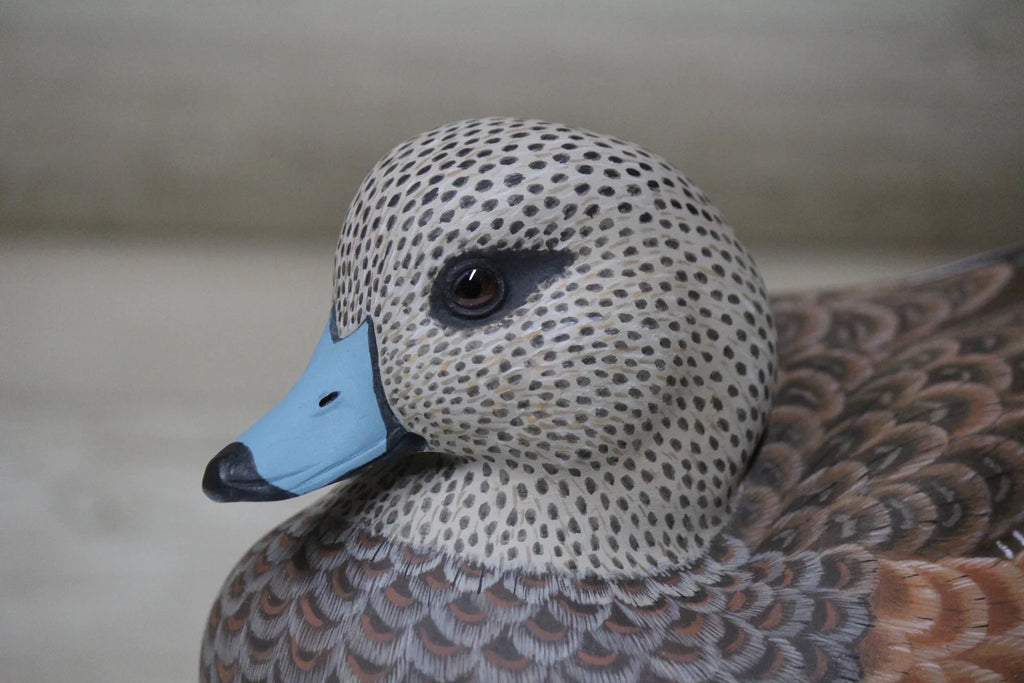 Widgeons