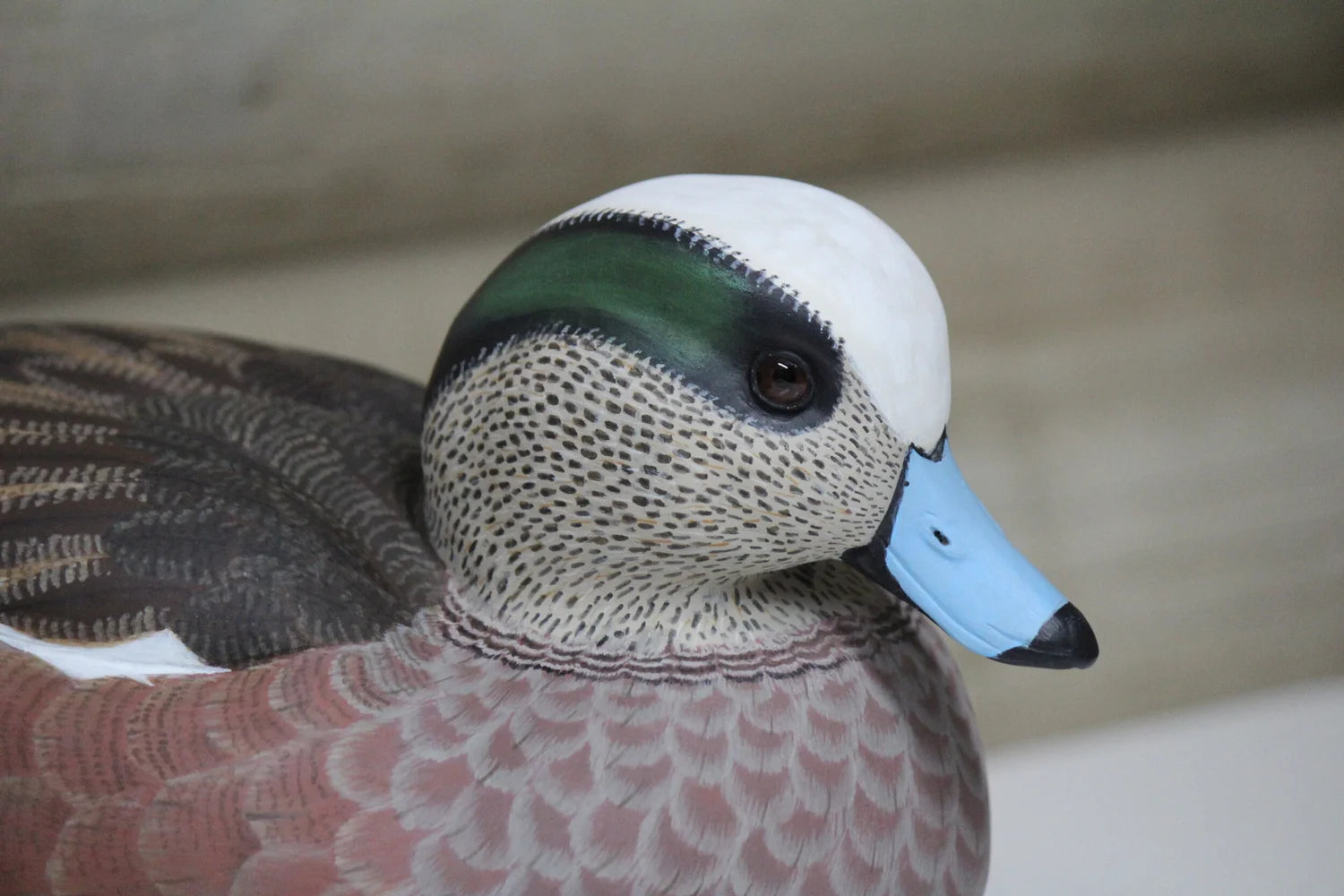 Widgeons