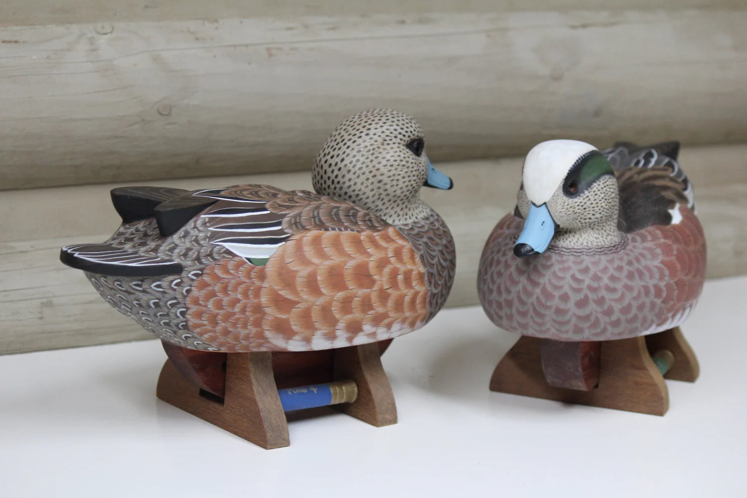Widgeons
