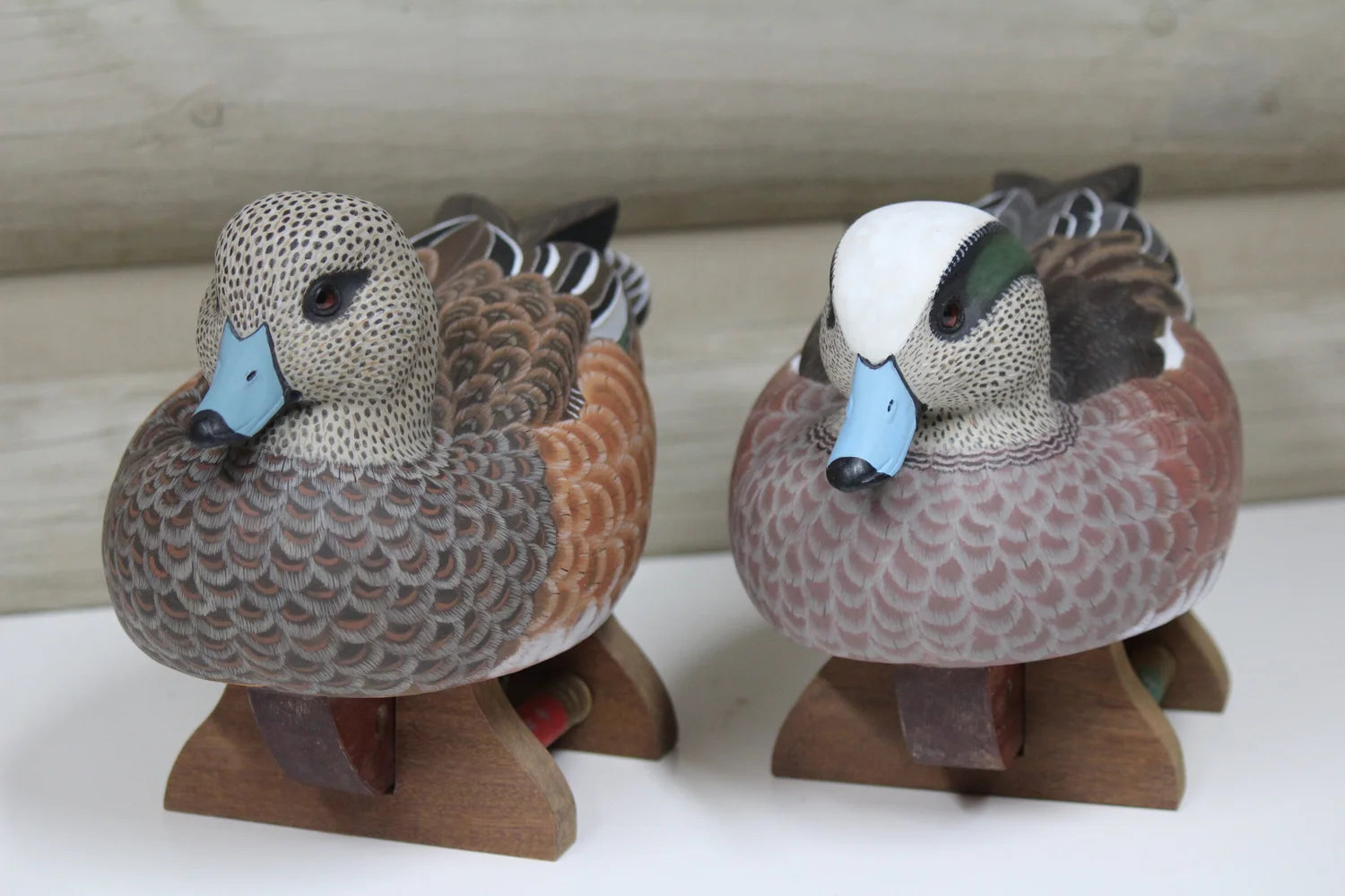 Widgeons