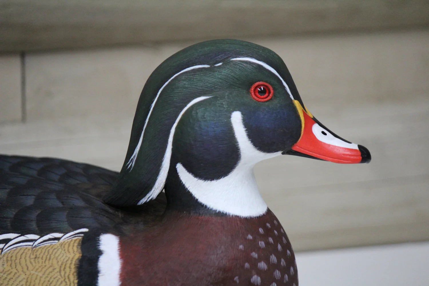 Wood Ducks