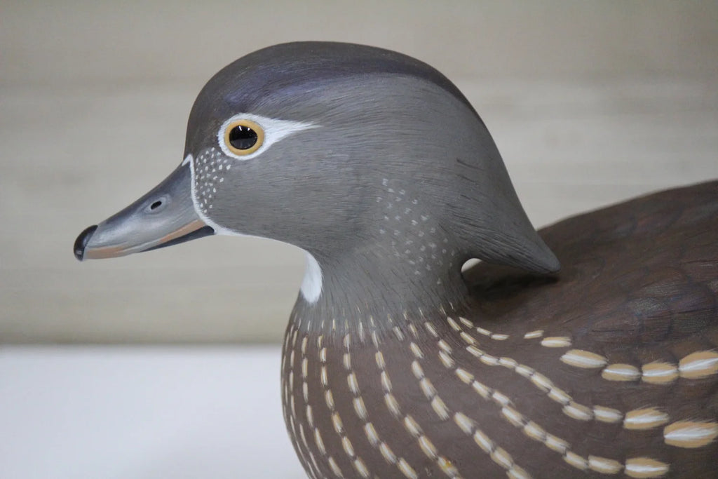 Wood Ducks