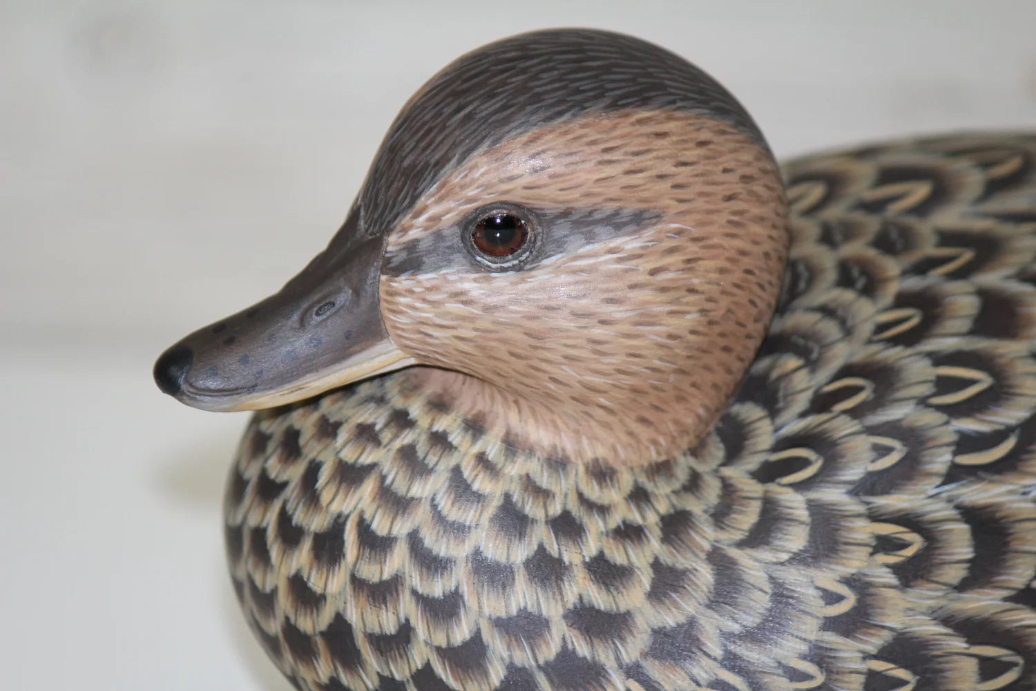 Green-winged Teals