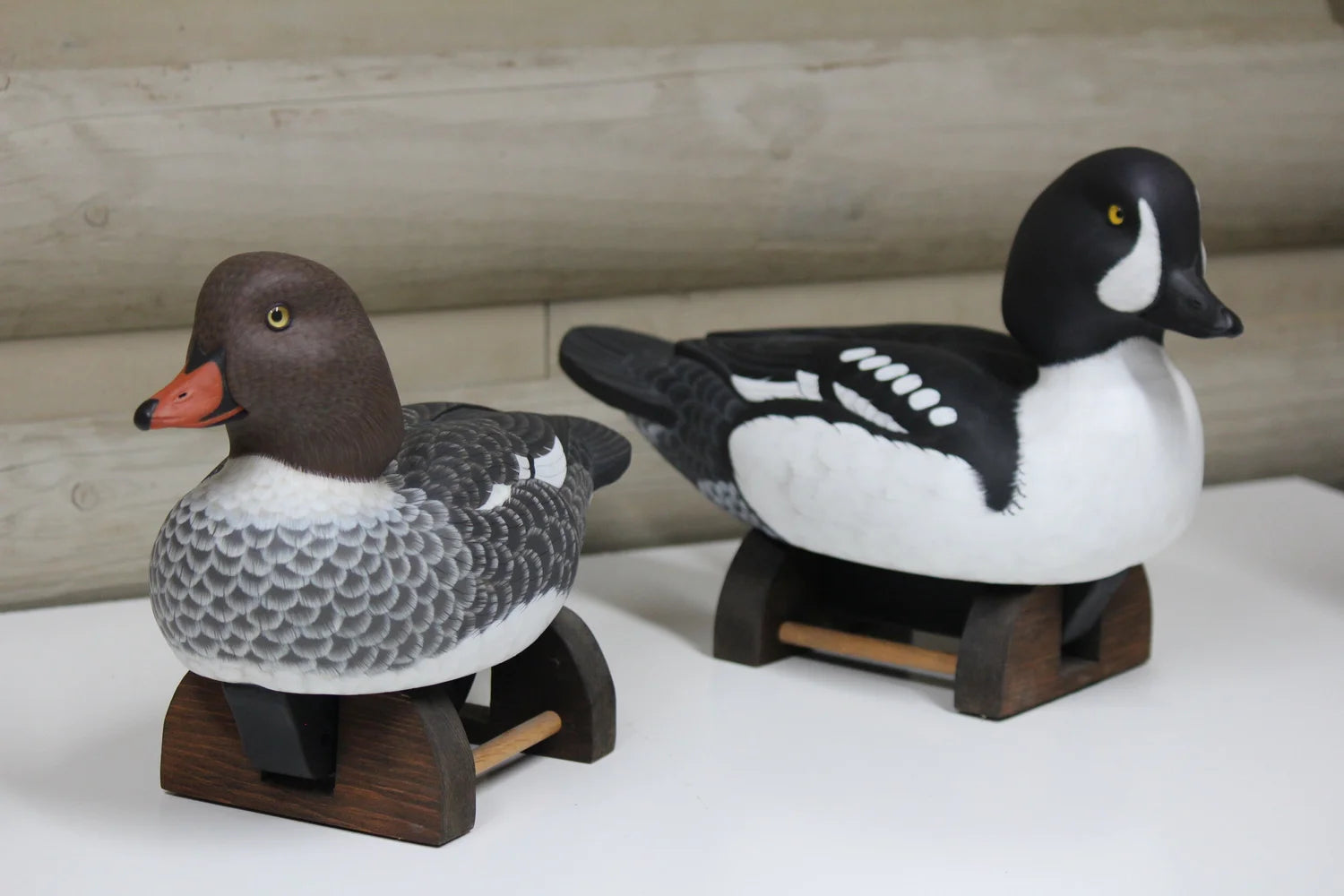 Barrow's goldeneyes