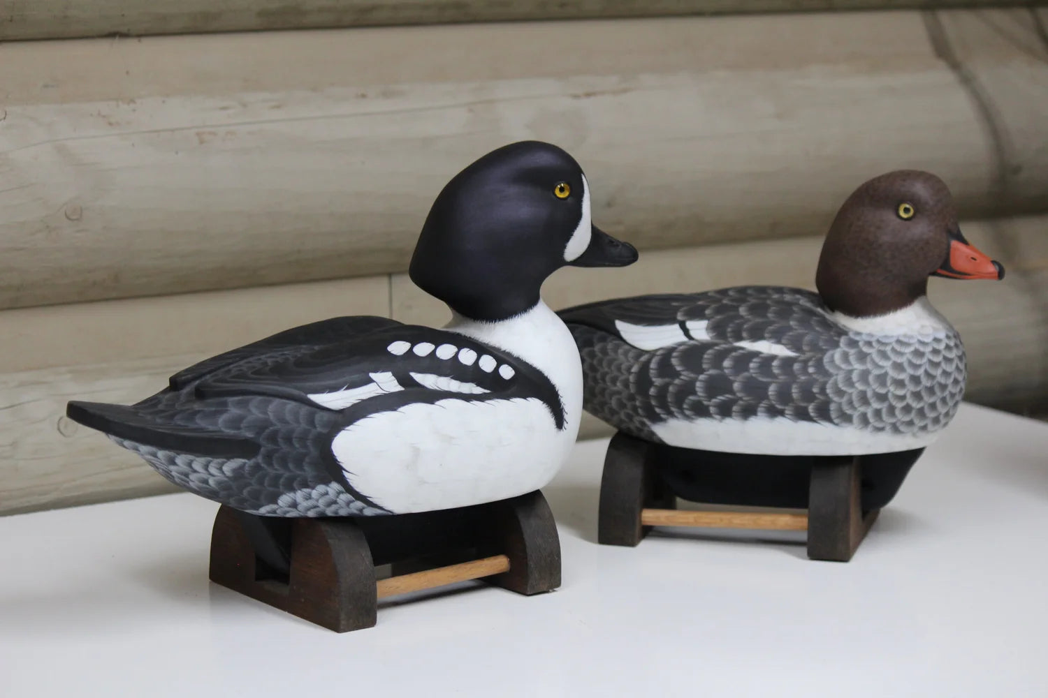 Barrow's goldeneyes
