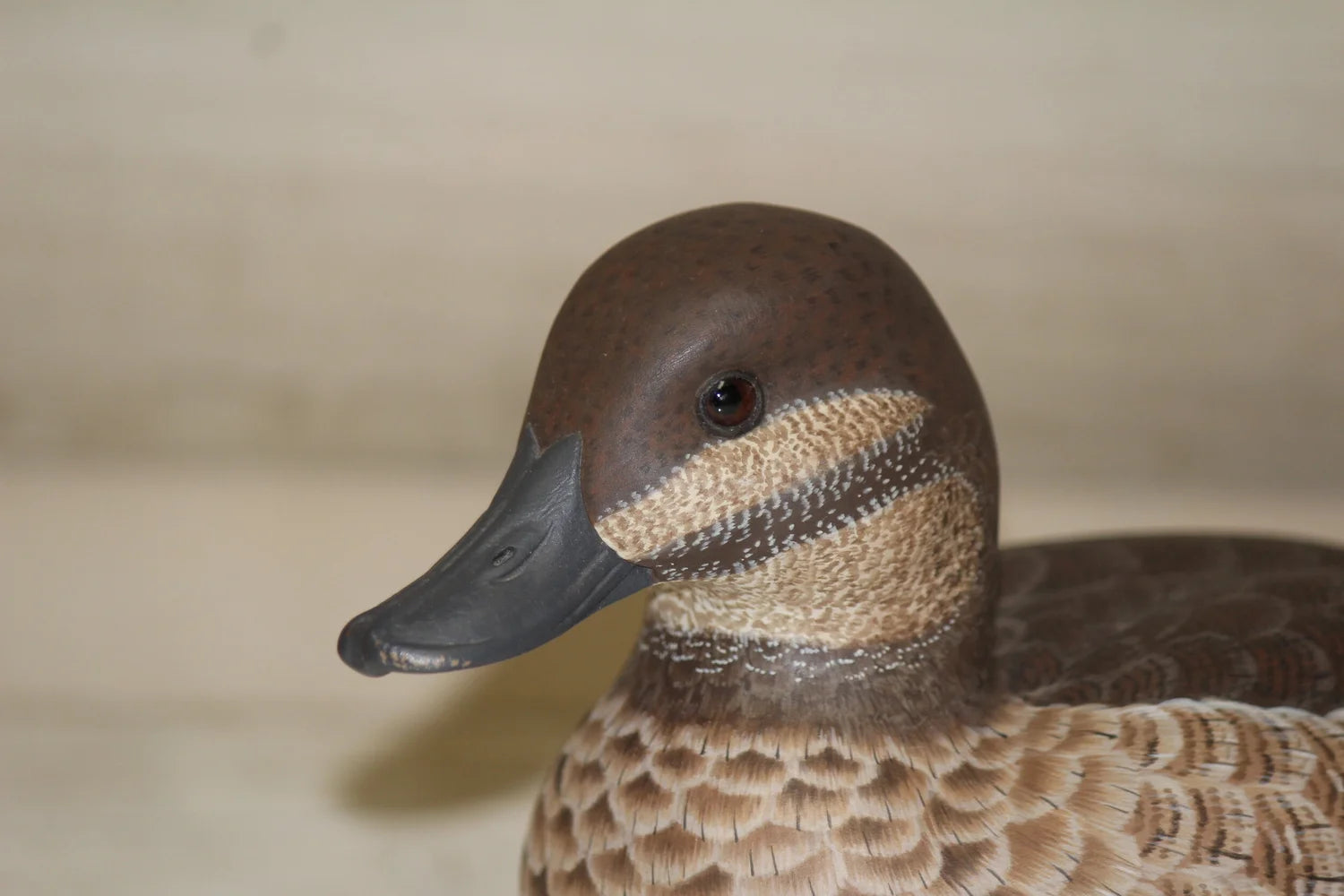 Ruddy Ducks