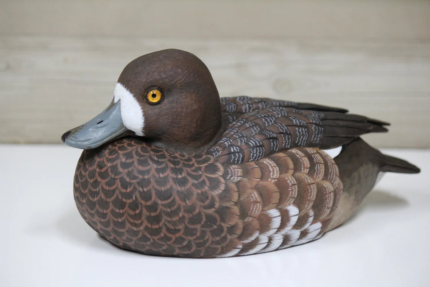 Lesser Scaup