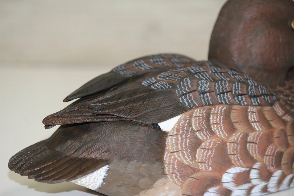 Lesser Scaup