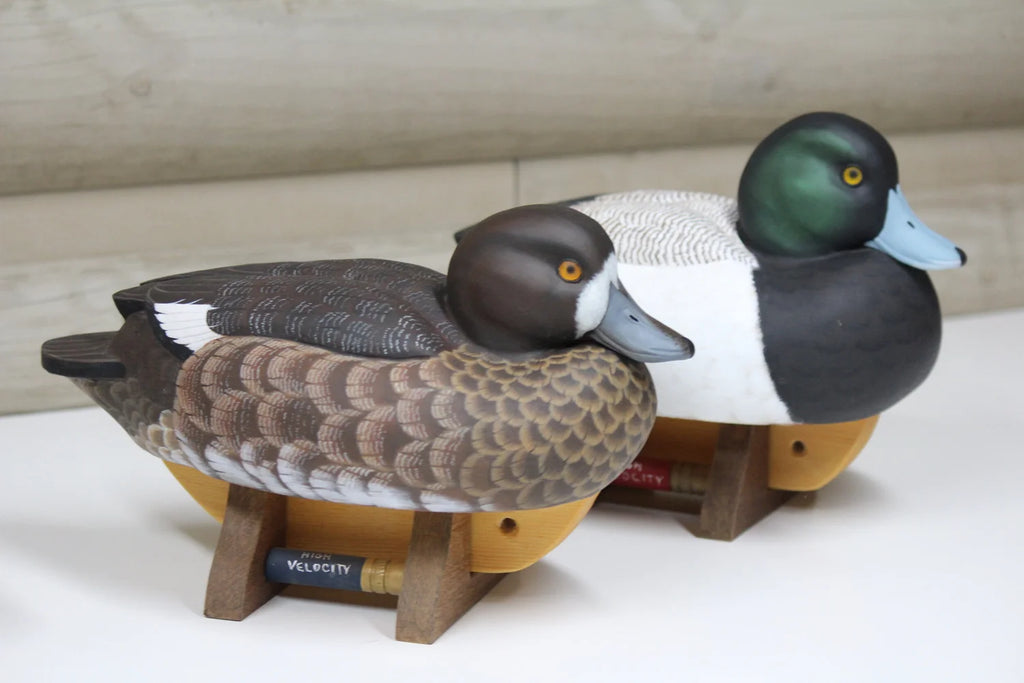 Greater Scaup