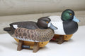 Greater Scaup