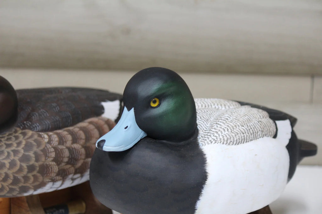 Greater Scaup