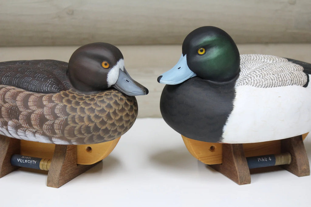 Greater Scaup