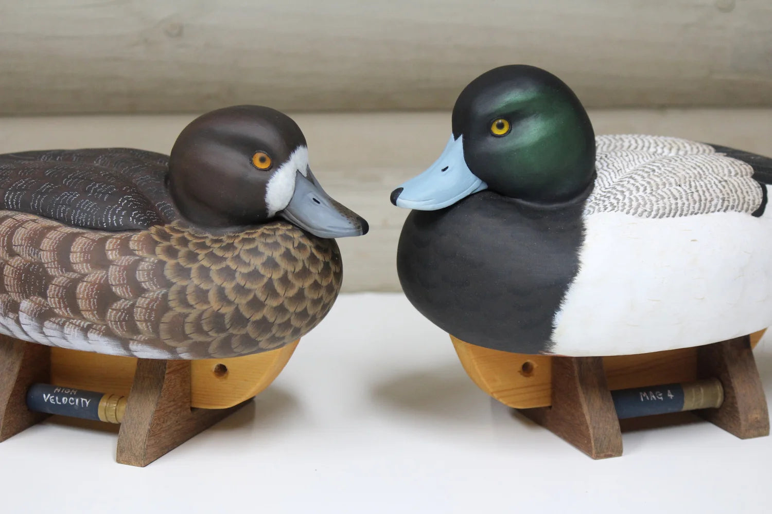Greater Scaup