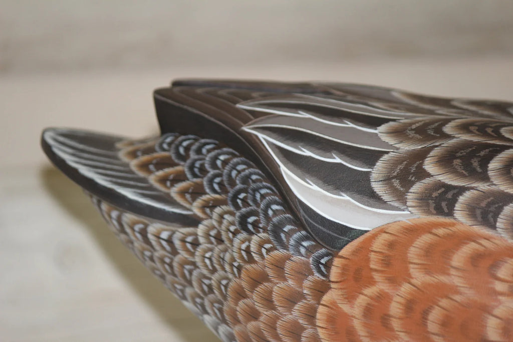 Widgeon Hen