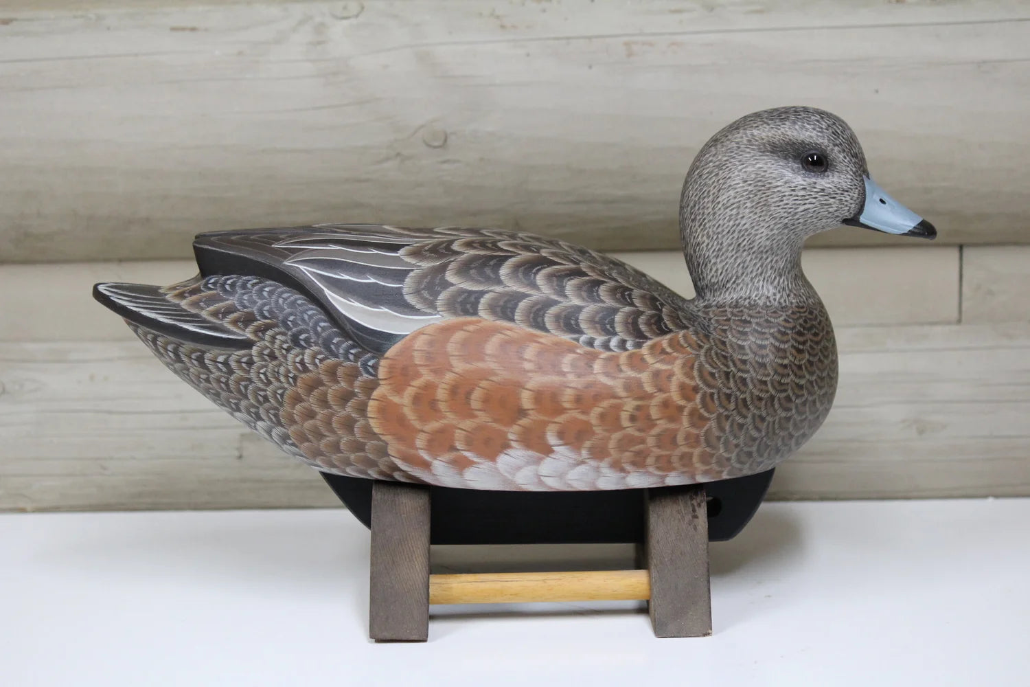 Widgeon Hen
