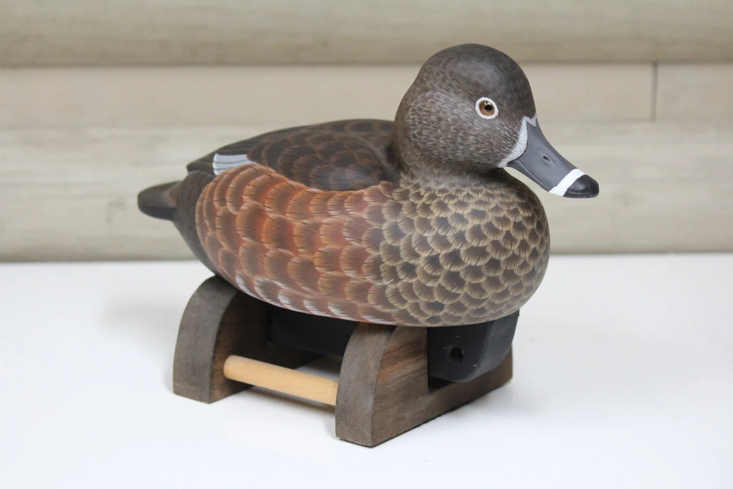 Widgeon Hen