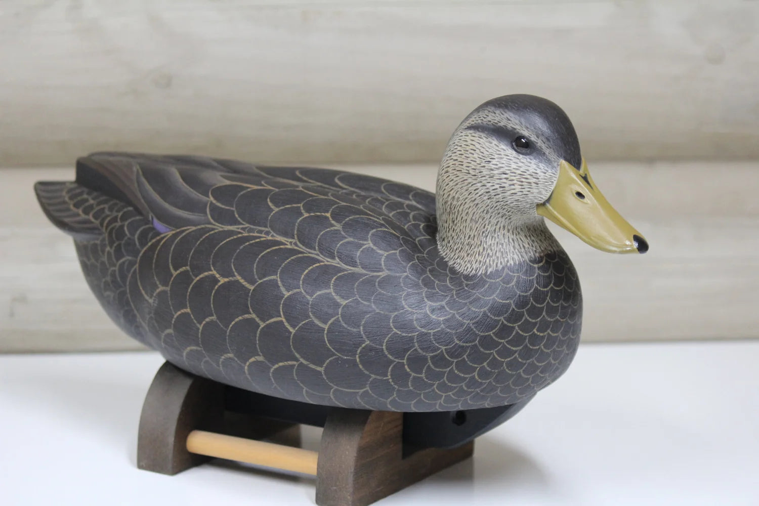 Black Duck