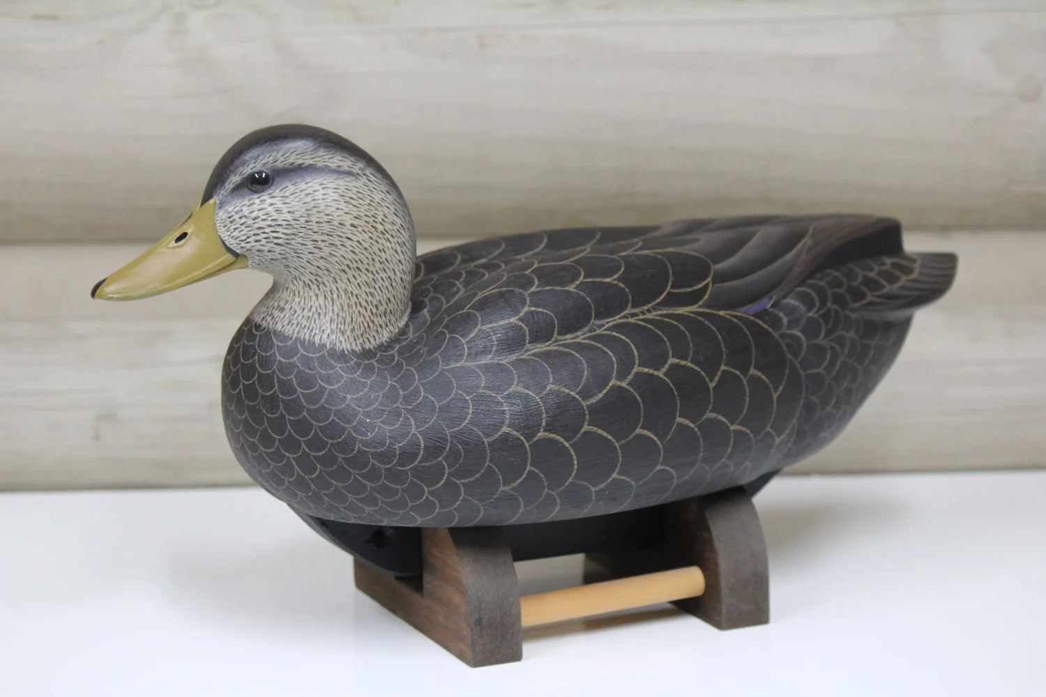 Black Duck