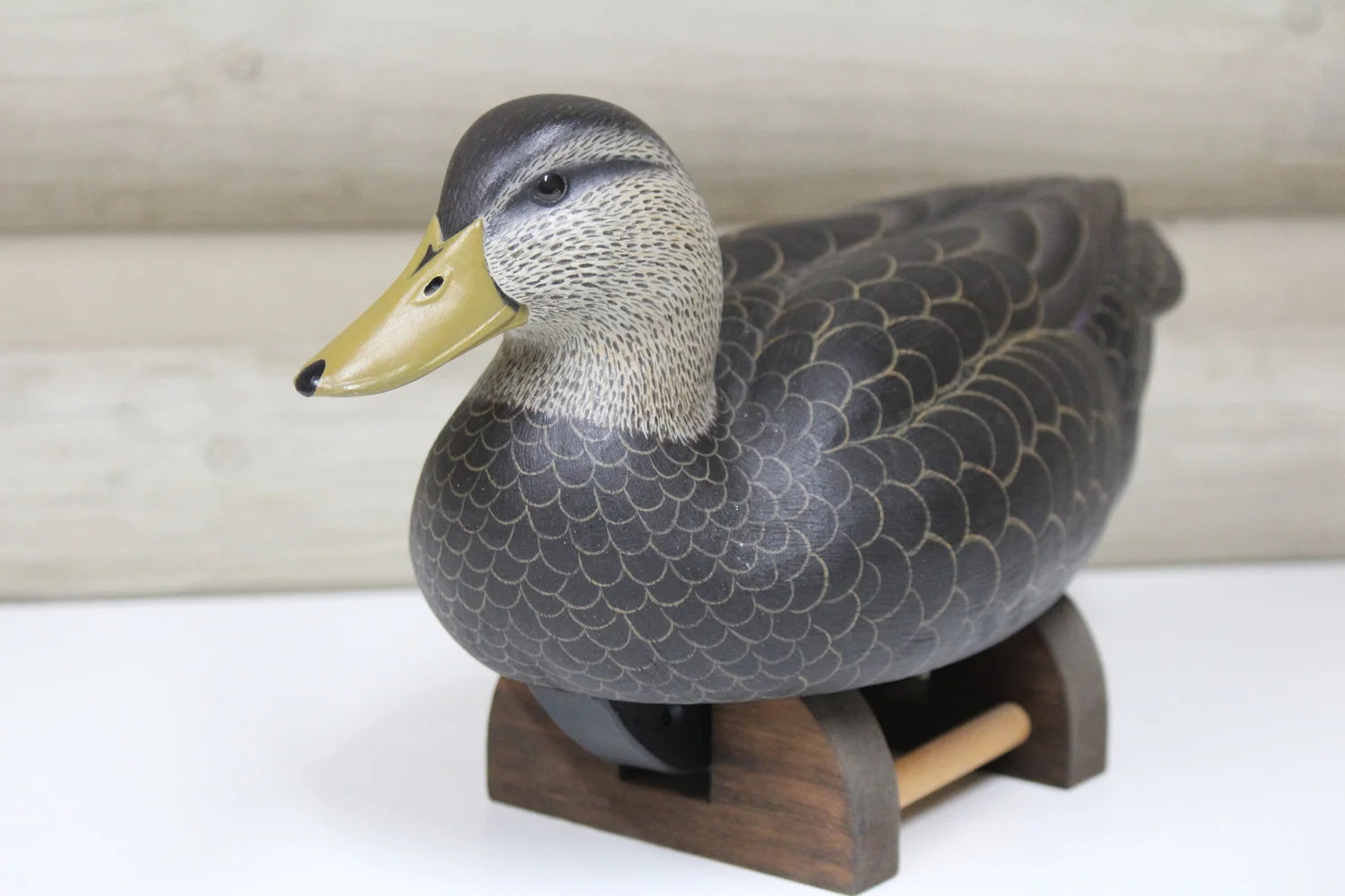 Black Duck