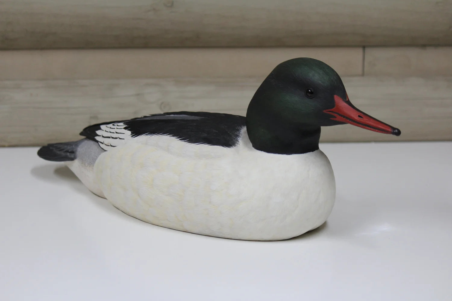 Common Merganser Drake
