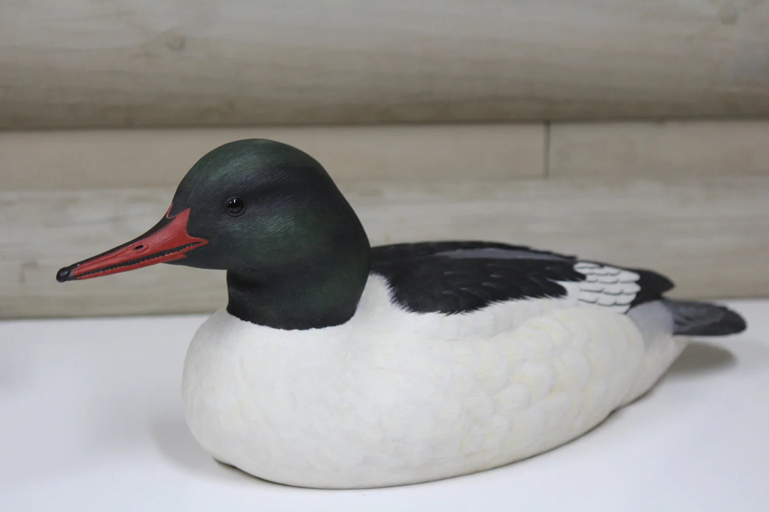 Common Merganser Drake
