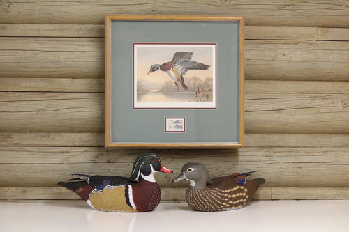 1991 Washington State Wood Duck Stamp and Print