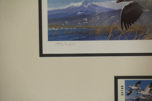 1985 Oregon Snow Geese Conservation Edition Print and Stamp