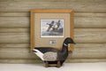 1986 Oregon Pacific Brant Stamp and Print
