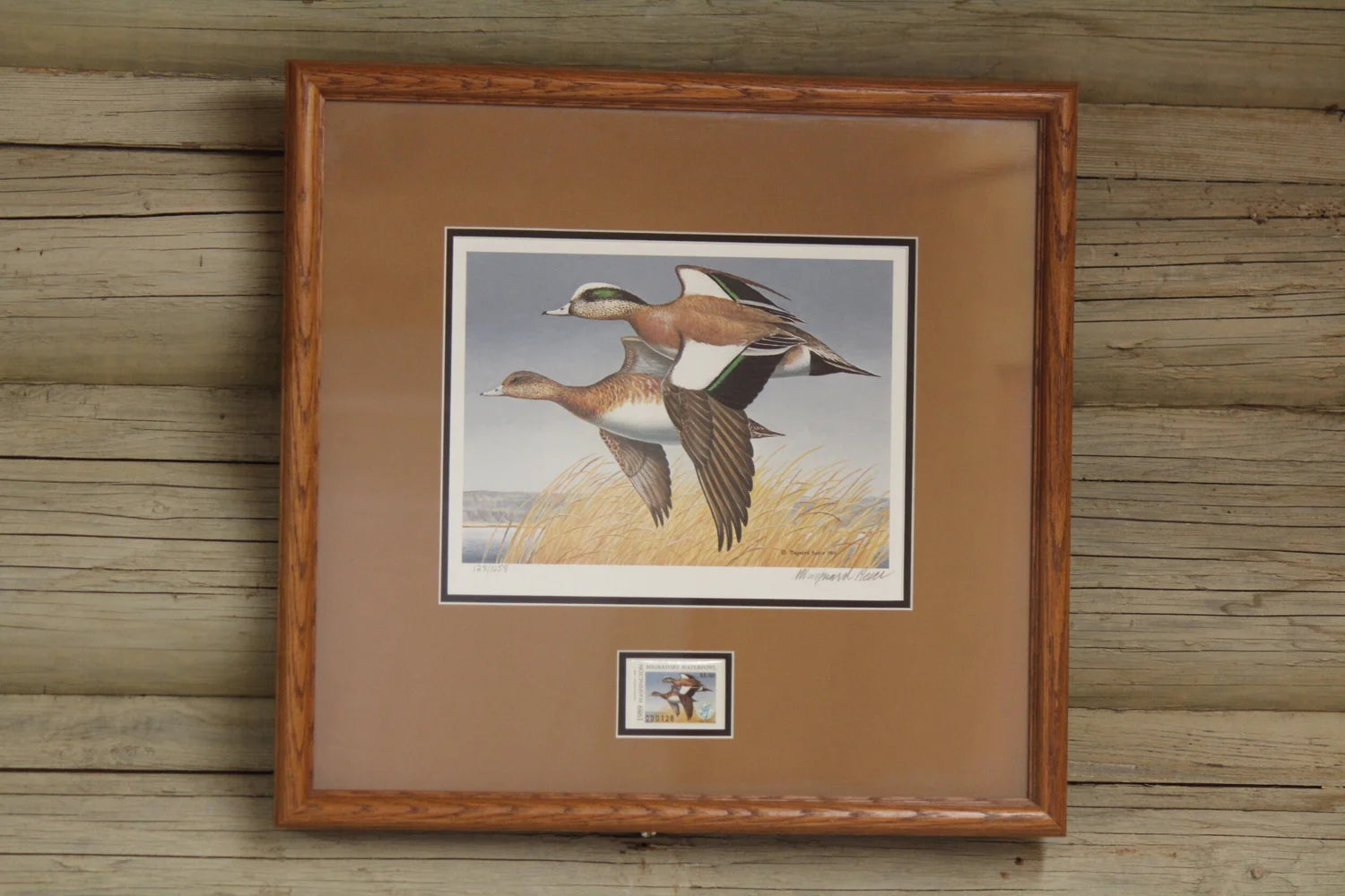 1989 Washington State American Widgeon Duck Print and Stamp