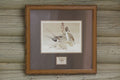 1990 Washington State Pintail Duck Print and Stamp