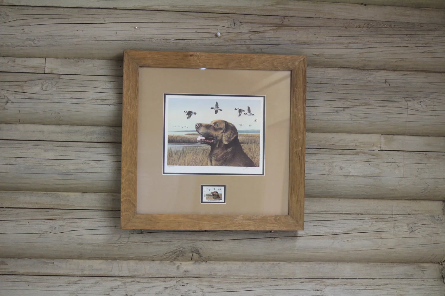 1991 Oregon Bufflehead Print and Stamp