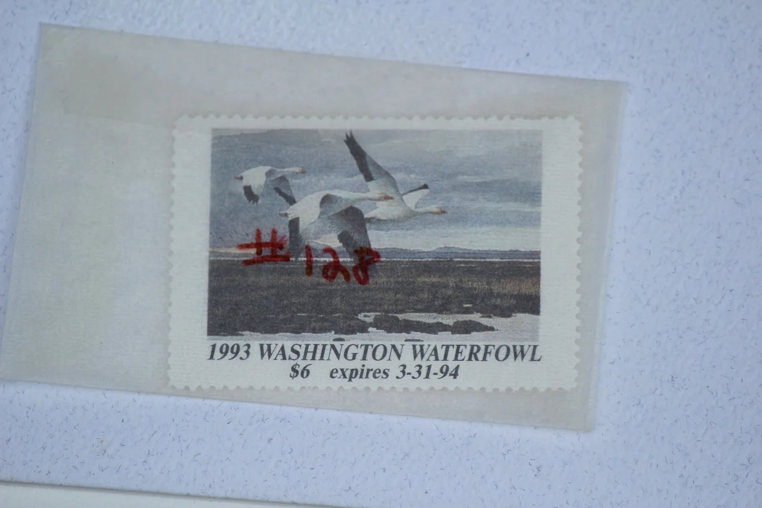 1993 Washington State Snow Geese Stamp and Print