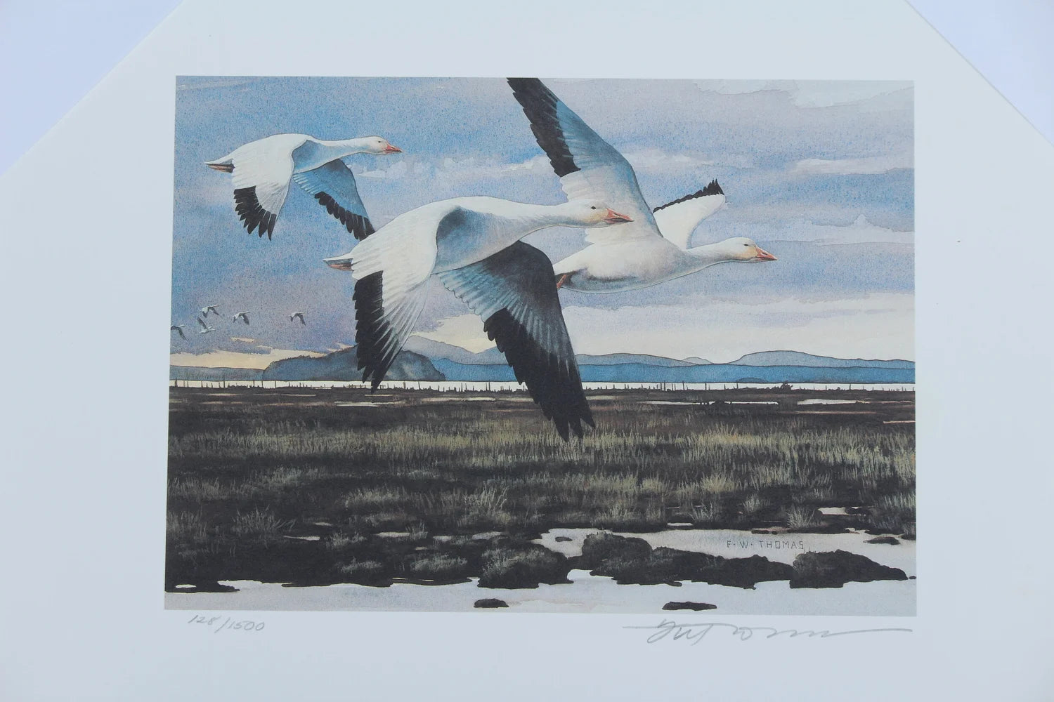 1993 Washington State Snow Geese Stamp and Print