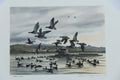 1994 Washington State Black Brant Stamp and Print